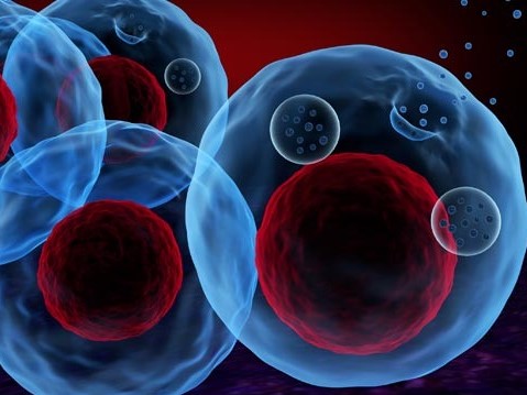 stem cell therapy, regenerative medicine, healing with stem cells, stem cell treatment, stem cell benefits, stem cell services, Stemcell Therapeutics, medical stem cell, advanced stem cell care, stem cell recovery, stem cell research, stem cell healing, stem cell clinic, certification, certified treatments, Stemcell Therapeutics, medical certification, stem cell certification, quality standards, certified medical care, safety certification, treatment certification, trusted care, professional certification, certified health services, regenerative medicine standards, accredited treatments, certified stem cell therapy