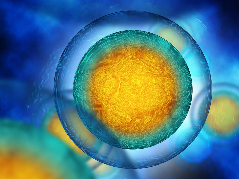 stem cell therapy, regenerative medicine, healing with stem cells, stem cell treatment, stem cell benefits, stem cell services, Stemcell Therapeutics, medical stem cell, advanced stem cell care, stem cell recovery, stem cell research, stem cell healing, stem cell clinic, certification, certified treatments, Stemcell Therapeutics, medical certification, stem cell certification, quality standards, certified medical care, safety certification, treatment certification, trusted care, professional certification, certified health services, regenerative medicine standards, accredited treatments, certified stem cell therapy