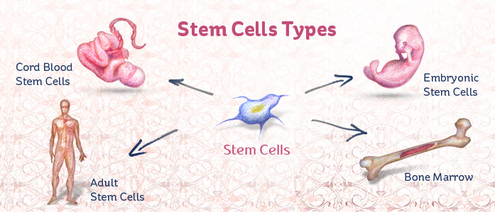 stem cell therapy, regenerative medicine, healing with stem cells, stem cell treatment, stem cell benefits, stem cell services, Stemcell Therapeutics, medical stem cell, advanced stem cell care, stem cell recovery, stem cell research, stem cell healing, stem cell clinic